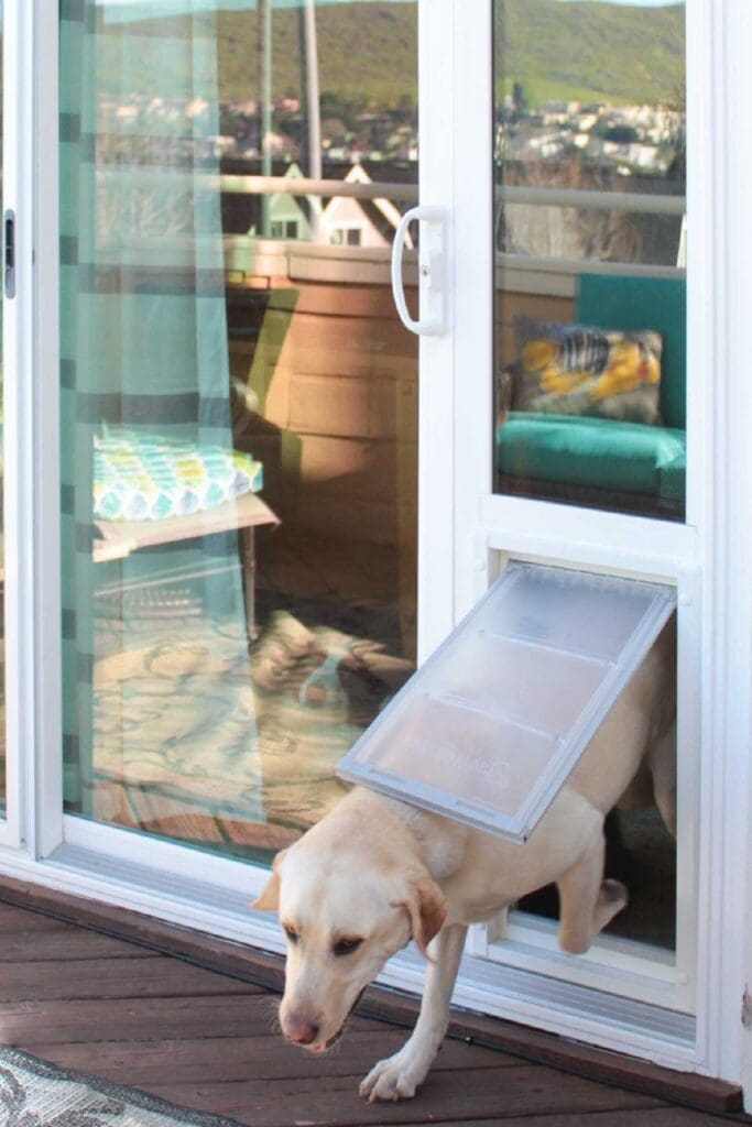 DIY Pet Door for Sliding Glass Near me in Denver CO and Colorado
